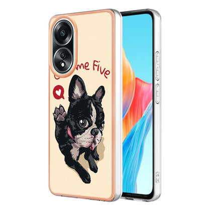 For OPPO A58 4G Electroplating Marble Dual-side IMD Phone Case(Lucky Dog) - OPPO Cases by buy2fix | Online Shopping UK | buy2fix