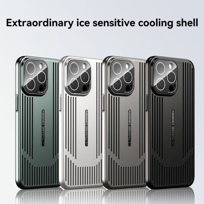 For iPhone 16 Ice Sense Heat Dissipation Electroplating Frosted Phone Case(Silver) - iPhone 16 Cases by buy2fix | Online Shopping UK | buy2fix