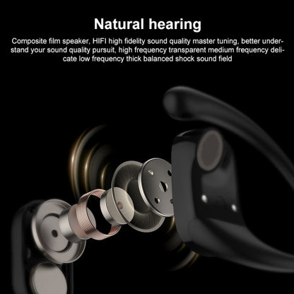 Langsdom TS19 Ear-mounted ENC Noise Reduction Wireless Bluetooth Earphone(Black) - Bluetooth Earphone by Langsdom | Online Shopping UK | buy2fix