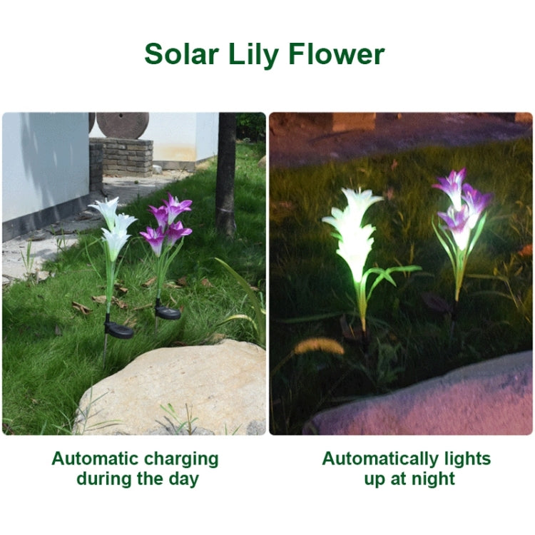 Simulated Lily Flower 4 Heads Solar Powered Outdoor IP55 Waterproof LED Decorative Lawn Lamp, White Light (White) - Solar Lights by buy2fix | Online Shopping UK | buy2fix