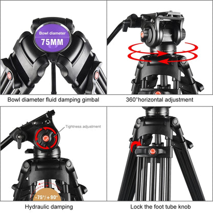 PULUZ Professional Heavy Duty Video Camcorder Aluminum Alloy Tripod with Fluid Drag Head for DSLR / SLR Camera, Adjustable Height: 80-160cm(Black) - Tripods by PULUZ | Online Shopping UK | buy2fix