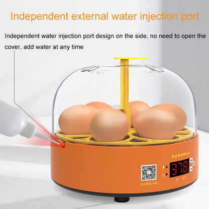 6-Eggs Small Household Experimental Children Smart Chicken Incubators, Spec: Manual UK Plug - Incubators by buy2fix | Online Shopping UK | buy2fix