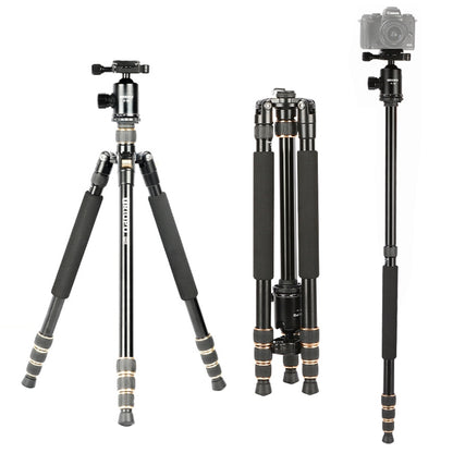 TRIOPO 554 Adjustable Portable  Aluminum Alloy Tripod with D-2A Ball Head for SLR Camera - Tripods by TRIOPO | Online Shopping UK | buy2fix