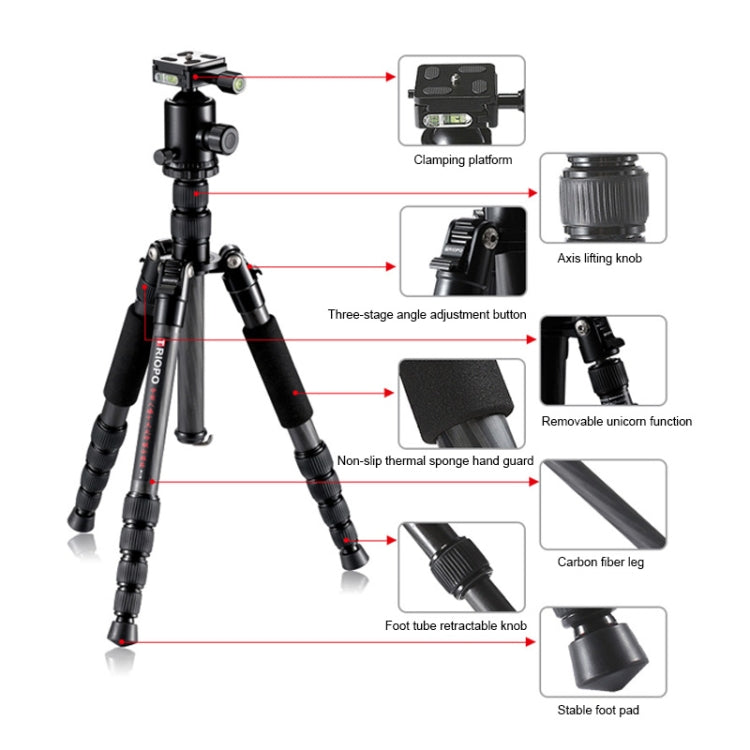 TRIOPO T259G+Q2 Adjustable Portable Carbon Fiber Tripod with Q-2 Ball Head for SLR Camera - Camera Accessories by TRIOPO | Online Shopping UK | buy2fix