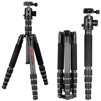 BEXIN BX285C K36 Portable Carbon Fiber Tripod for Dslr Digital DV Camcorder - Tripods by BEXIN | Online Shopping UK | buy2fix