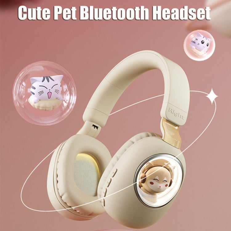 B4 RGB Cartoon Stereo Headset Wireless Bluetooth Headphones(Squirrel) - Apple Accessories by buy2fix | Online Shopping UK | buy2fix