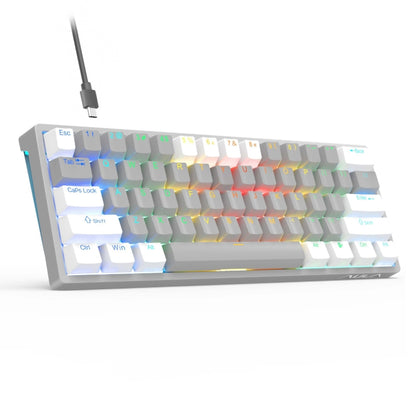 AULA F3261 Type-C Wired Hot Swappable 61 Keys RGB Mechanical Keyboard(White Grey Green Shaft) - Wired Keyboard by AULA | Online Shopping UK | buy2fix