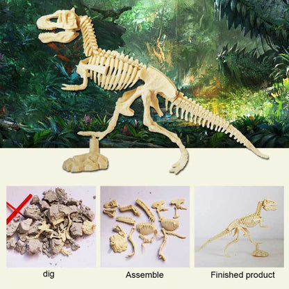 Assembled Tyrannosaurus Skeleton Archaeological Excavation Toys Simulation Fossil Model Manual Toys - DIY Developmental Toys by buy2fix | Online Shopping UK | buy2fix