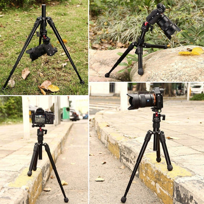 PULUZ  Pocket Mini Microspur Photos Magnesium Alloy Tripod Mount with 360 Degree Ball Head  for DSLR &  Digital Camera, Adjustable Height: 24.5-57cm, Load Max: 3kg - Tripods by PULUZ | Online Shopping UK | buy2fix