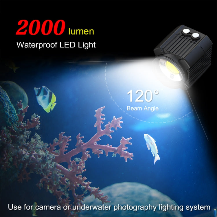PULUZ 60m Underwater LED Photography Fill Light 7.4V/1100mAh Diving Light for GoPro Hero11 Black / HERO10 Black / HERO9 Black /HERO8 / HERO7 /6 /5 /5 Session /4 Session /4 /3+ /3 /2 /1, Insta360 ONE R, DJI Osmo Action and Other Action Cameras(Black) - DJI & GoPro Accessories by PULUZ | Online Shopping UK | buy2fix