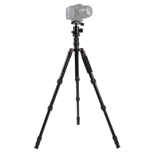 Triopo MT-2505C Adjustable Portable Aluminum Tripod (Gold) with NB-1S Ball Head (Black) for Canon Nikon Sony DSLR Camera - Camera Accessories by TRIOPO | Online Shopping UK | buy2fix
