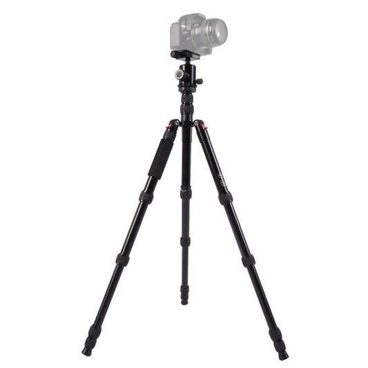 Triopo MT-2805C Adjustable Portable Aluminum Tripod (Gold) with NB-2S Ball Head (Black) for Canon Nikon Sony DSLR Camera - Camera Accessories by TRIOPO | Online Shopping UK | buy2fix