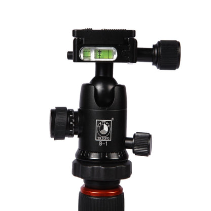 Triopo GT-2504X8.C Adjustable Portable Carbon Fiber Tripod with B-1 Aluminum Ball Head for Canon Nikon Sony DSLR Camera(Black) - Camera Accessories by TRIOPO | Online Shopping UK | buy2fix