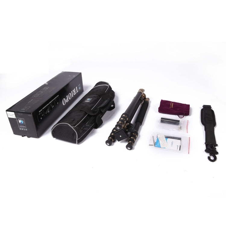 Triopo GT-2504X8.C Adjustable Portable Carbon Fiber Tripod with B-1 Aluminum Ball Head for Canon Nikon Sony DSLR Camera(Black) - Camera Accessories by TRIOPO | Online Shopping UK | buy2fix