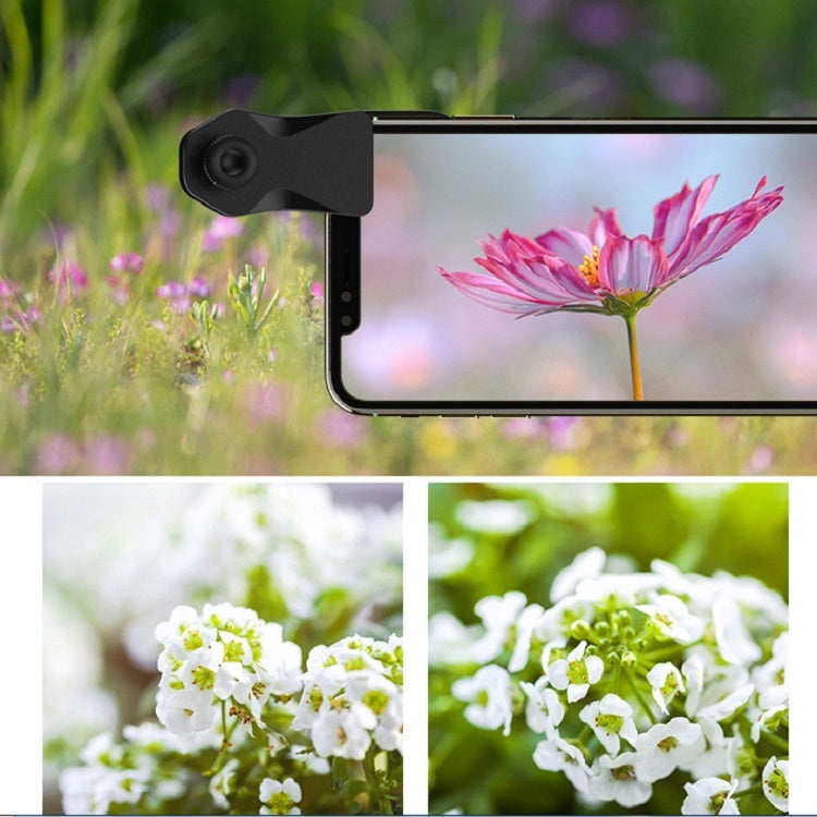 APEXEL APL-DG11 11 in 1 Multifunctional Fisheye Wide-angle Macro Polarized Starlight Gradient Filter Set Universal Mobile Phone Lens Set - Macro & Wide-angle by APEXEL | Online Shopping UK | buy2fix