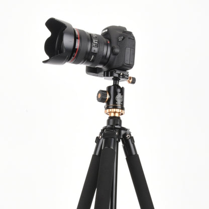 Q338 4-Section Folding Legs Live Broadcast Aluminum Alloy Tripod Mount With Ball Head - Camera Accessories by buy2fix | Online Shopping UK | buy2fix