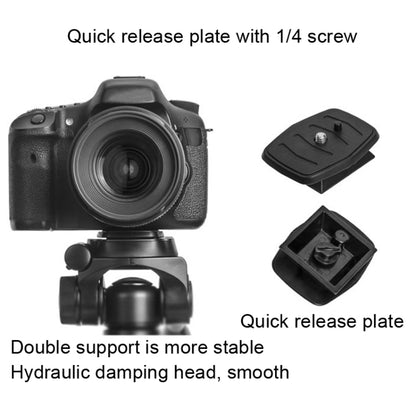 YUNTENG 696 SLR Tripod General Mobile Phone Stand(Black) - Camera Accessories by YUNTENG | Online Shopping UK | buy2fix