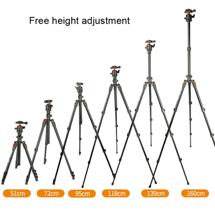 TRIOPO K268+KJ36 DSLR Tripod Photography Stand Portable Cell Phone Micro SLR Tripod - Tripods by TRIOPO | Online Shopping UK | buy2fix